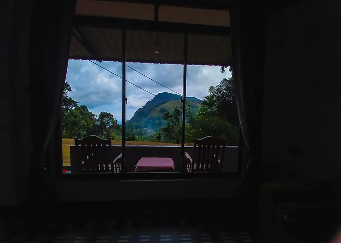 Ella Happy View
