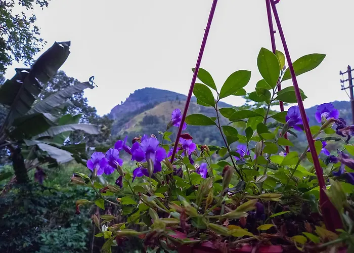 Ella Happy View Homestay