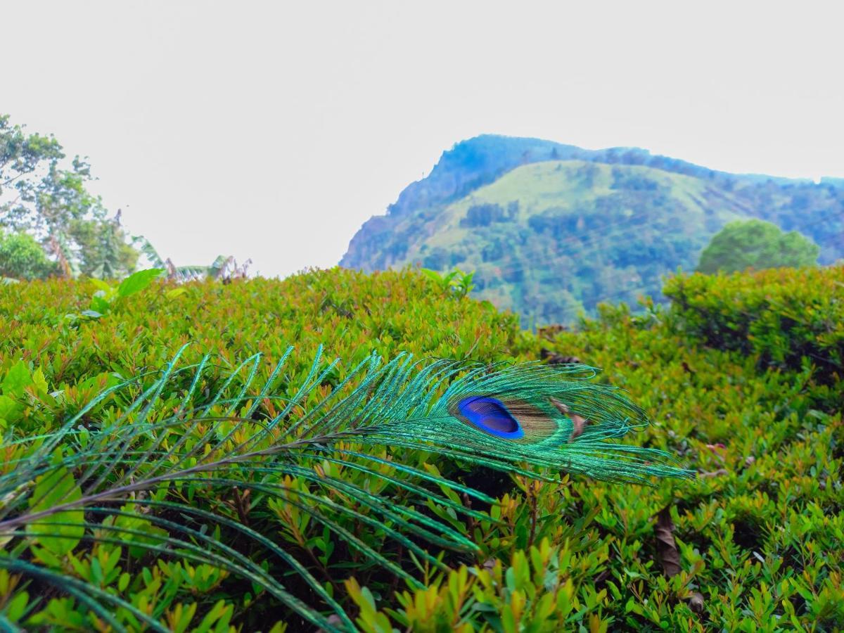 Happy View Homestay *