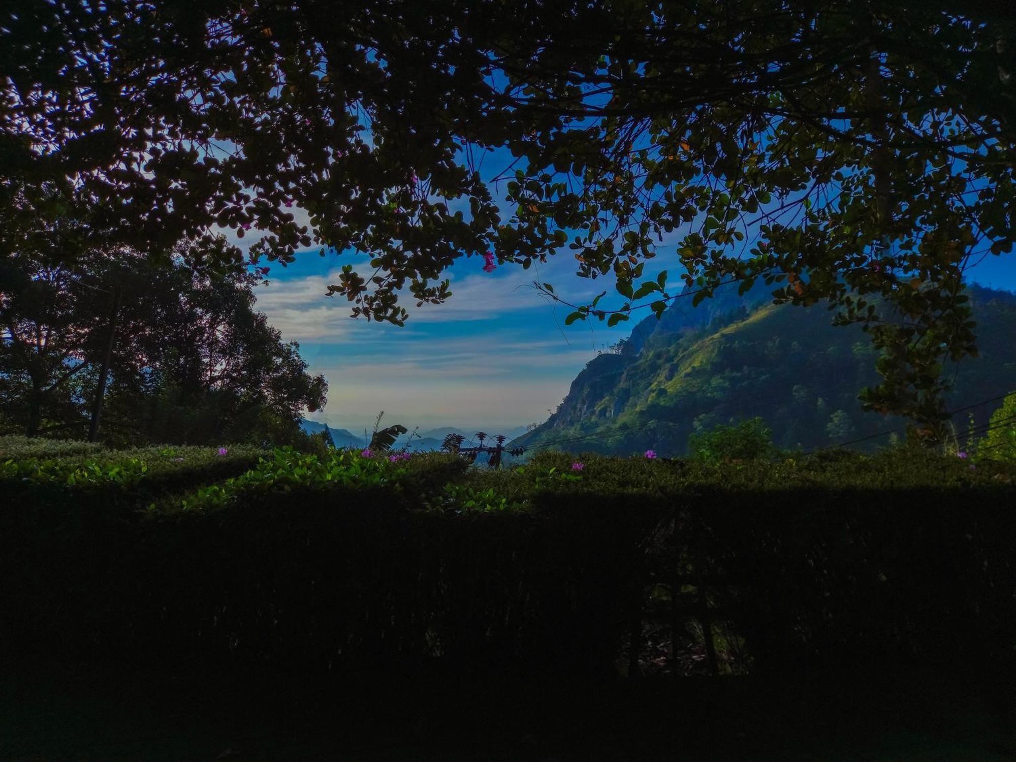 Проживание в семье Happy View *