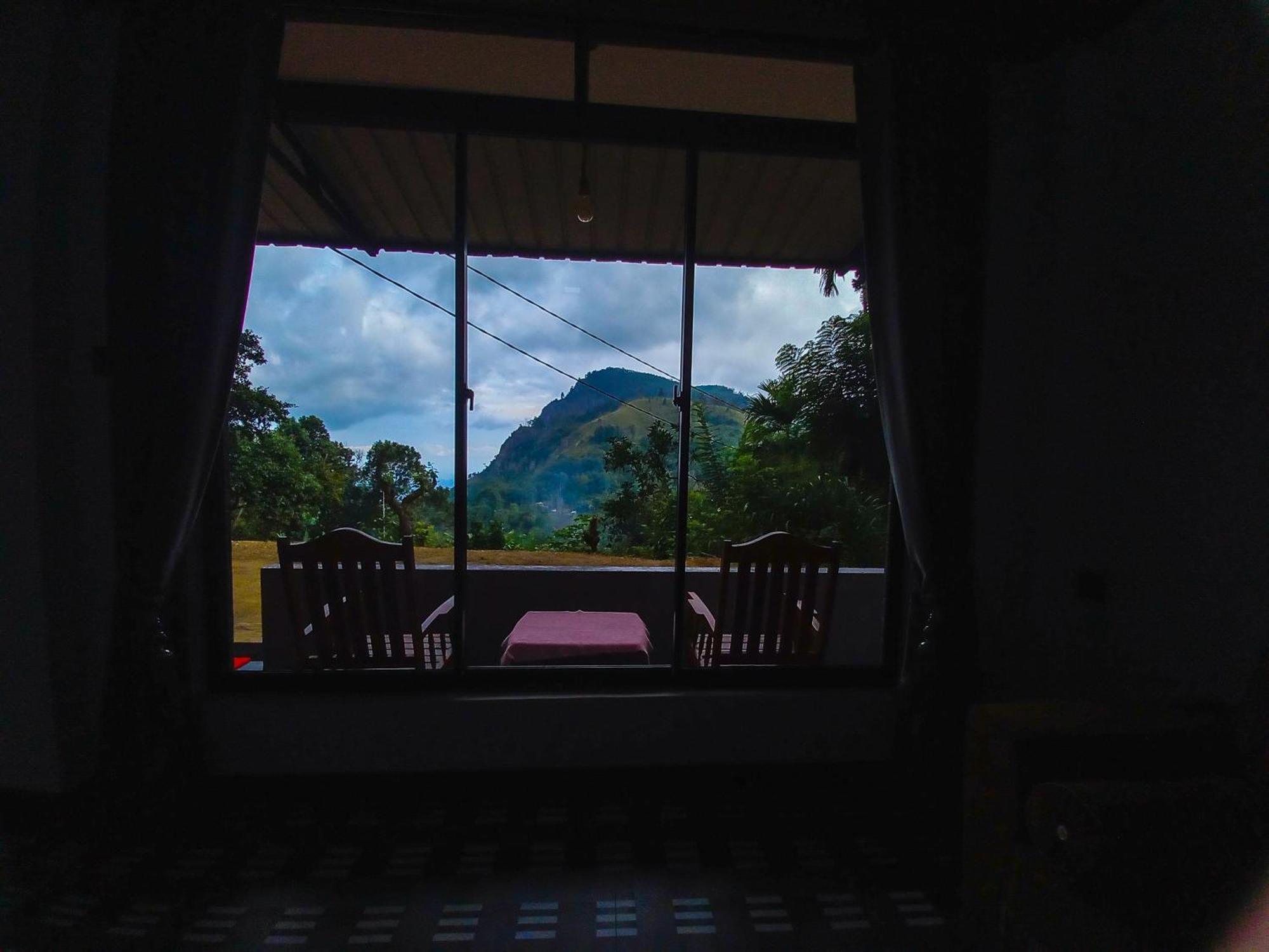 Проживание в семье Happy View